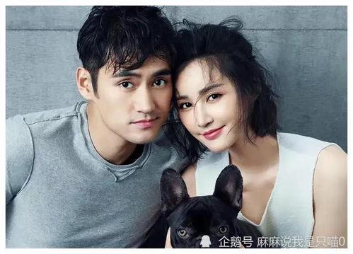 娱乐圈吃瓜爆料小徐徐是谁,吃瓜群众热议的焦点